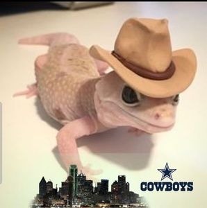 Meet your Posher, Austin